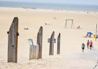 Steigerhout op strand